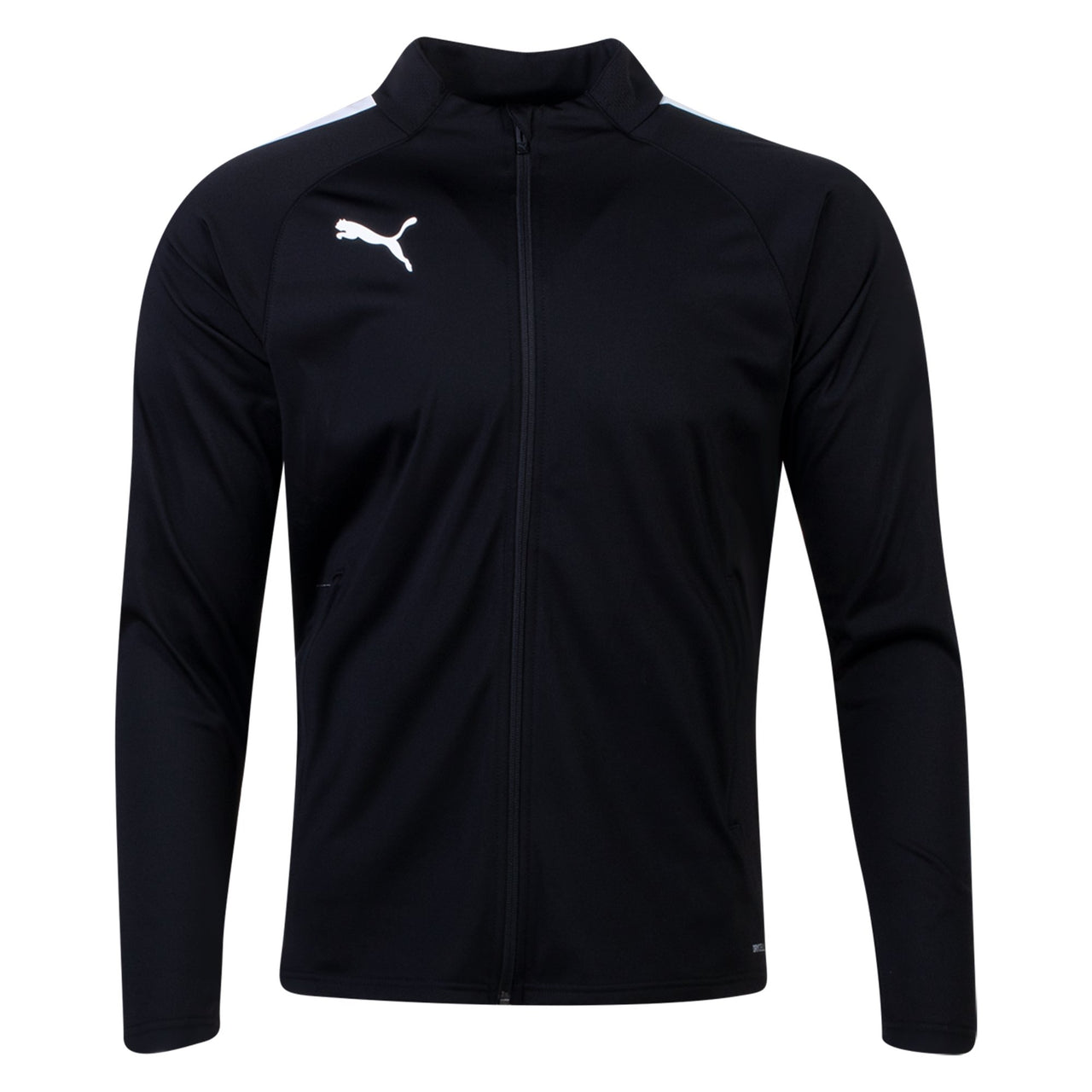 Puma TeamLiga 25 jacket